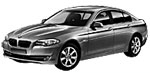 BMW F10 P1D6C Fault Code